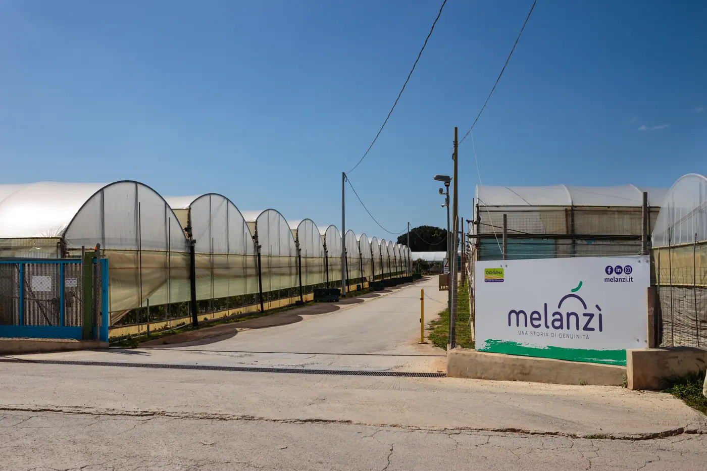 L'ingresso dell'azienda Melanzì, tra le serre