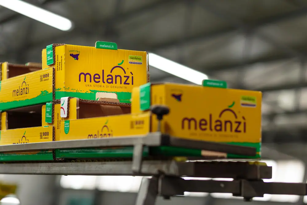 Dozen Melanzì op de productielijn