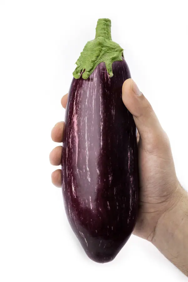 Melanzana striata viola con righe chiare, tenuta in mano su sfondo bianco