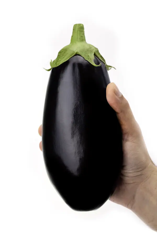 Melanzana tonda nera e lucida con il calice verde, tenuta in mano su sfondo bianco