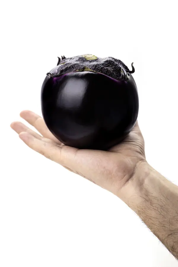 Melanzana viola scuro di forma rotonda, appoggiata sul palmo di una mano su sfondo bianco