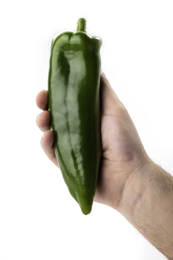 Peperone dolce verde, lungo e lucido, tenuto in mano su sfondo bianco