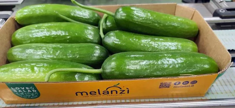 Cetriolini Melanzì in una cassetta di cartone