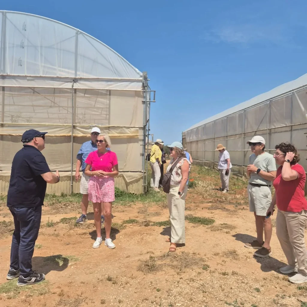 Gruppo di visitatori davanti a una serra, all'aperto