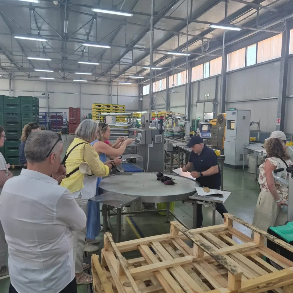 Visitatori accanto alla linea di selezione e confezionamento nel magazzino