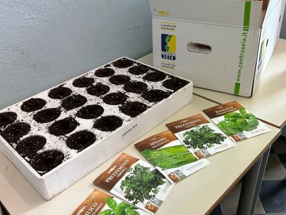 Vaschette con il terriccio e le bustine di semi di erbe aromatiche per il progetto Seminiamo insieme